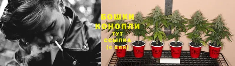 даркнет сайт  OMG ссылка  Конопля White Widow  Иланский 